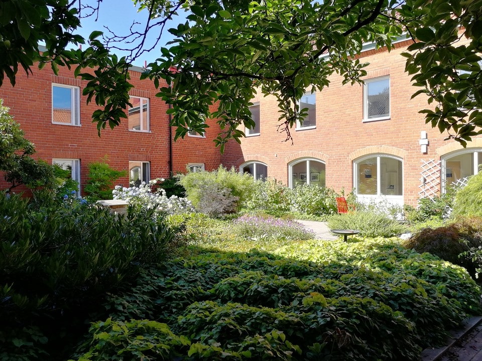 Rexuma vårdrumspanel En lummig innergård med tät grönska och blommande växter omges av sjukhusbyggnader i rött tegel med stora fönster. Solljuset silar genom träden och skapar en fridfull och inbjudande atmosfär.